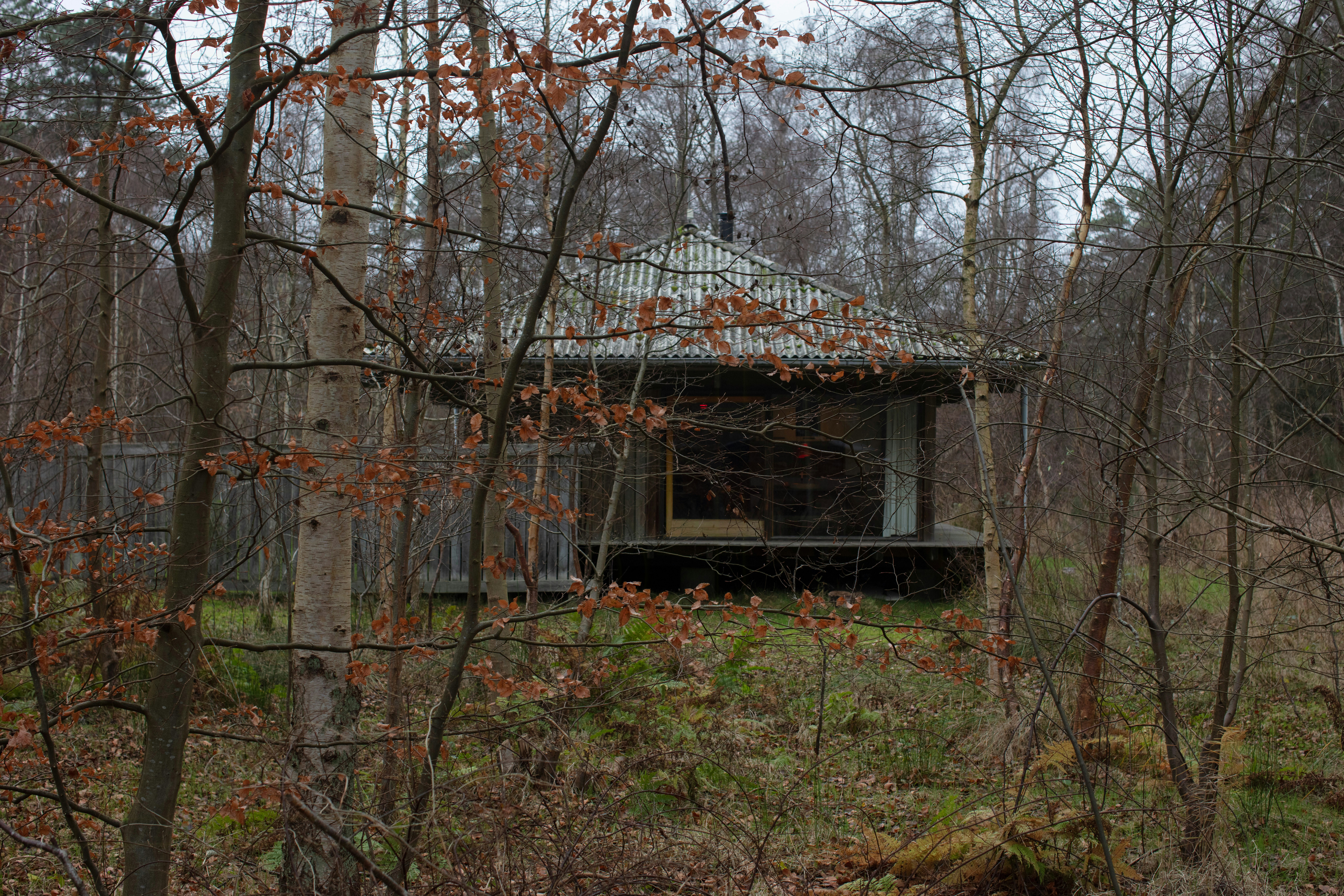 Let nature get close in an architect designed holiday home