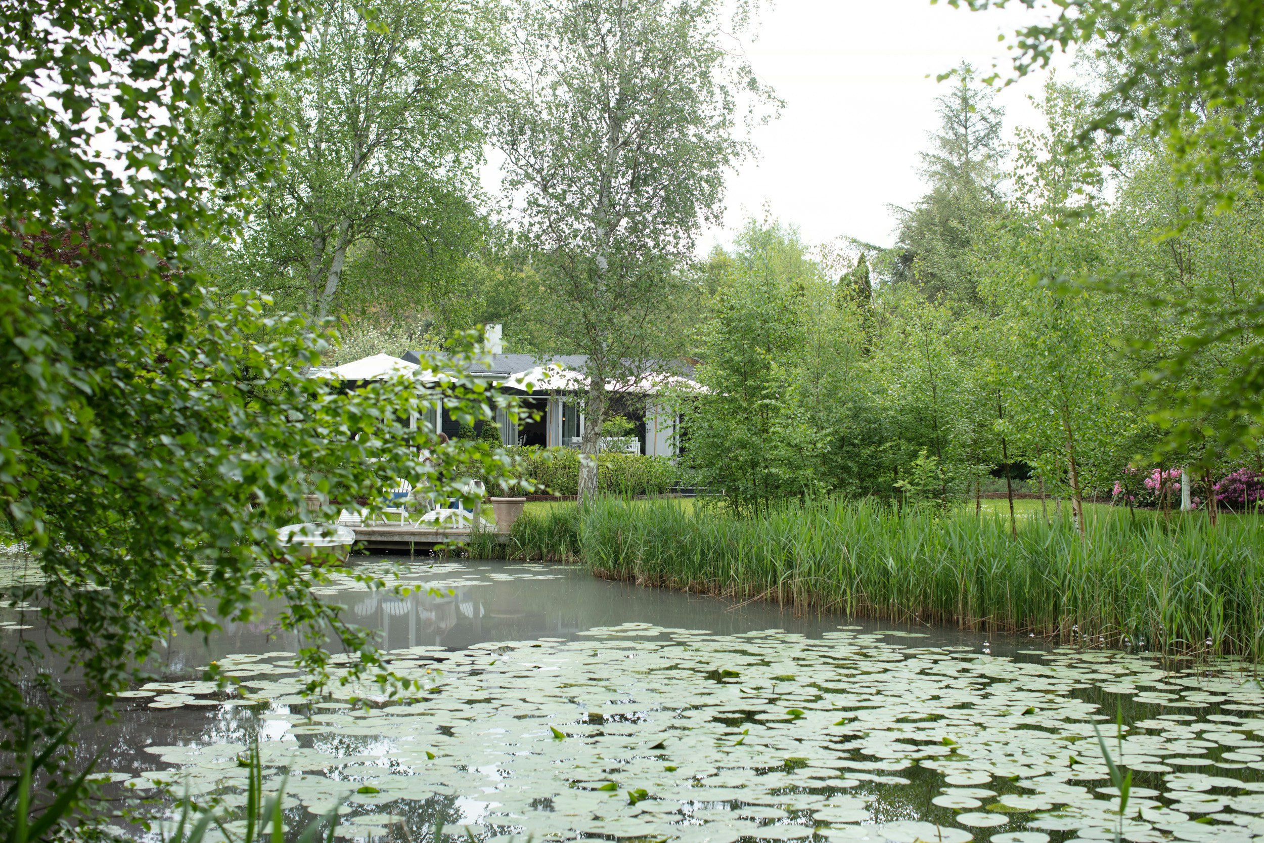 Explore the incredible garden inspired by Monet