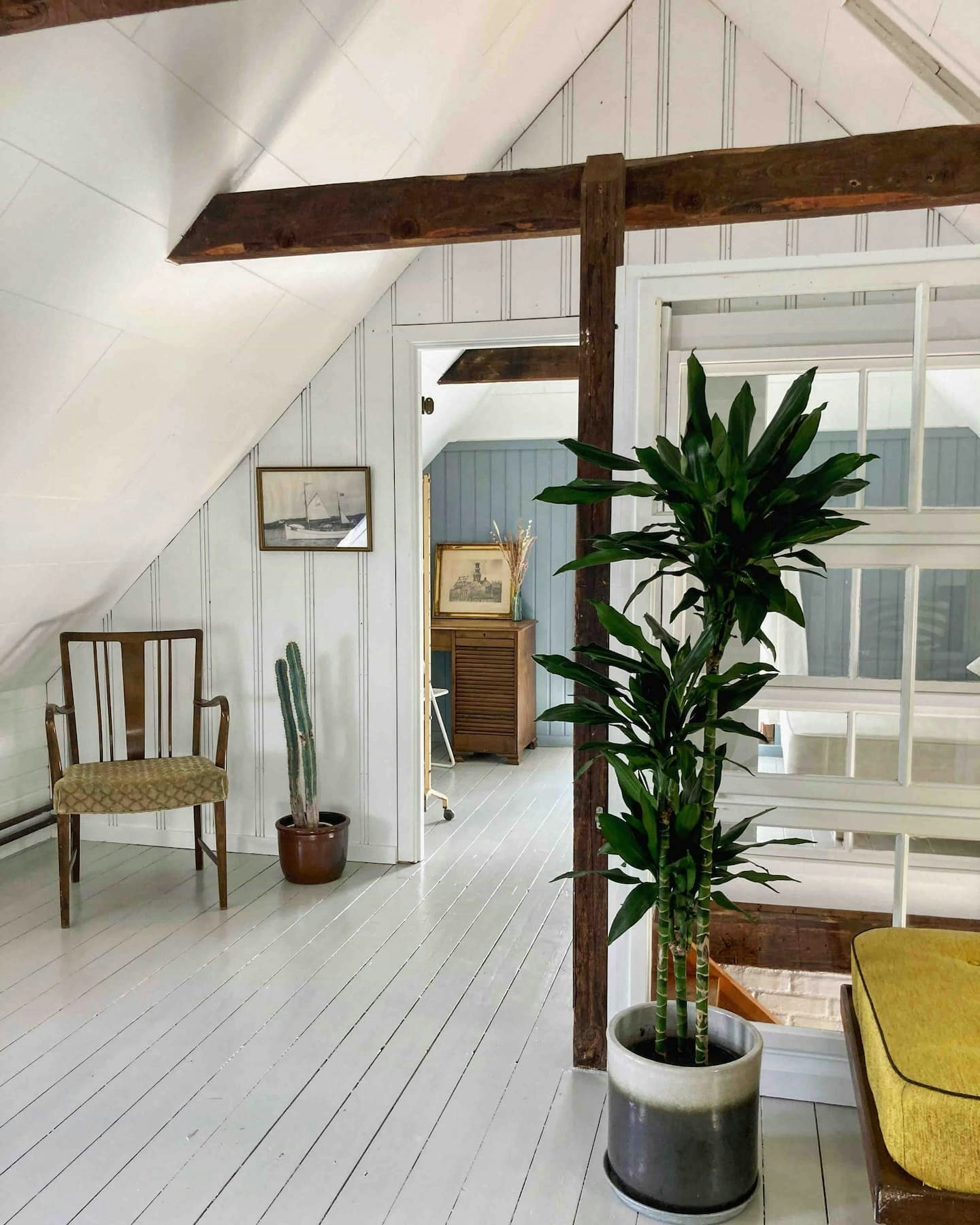 Hidden gem only 500 meters from the sea