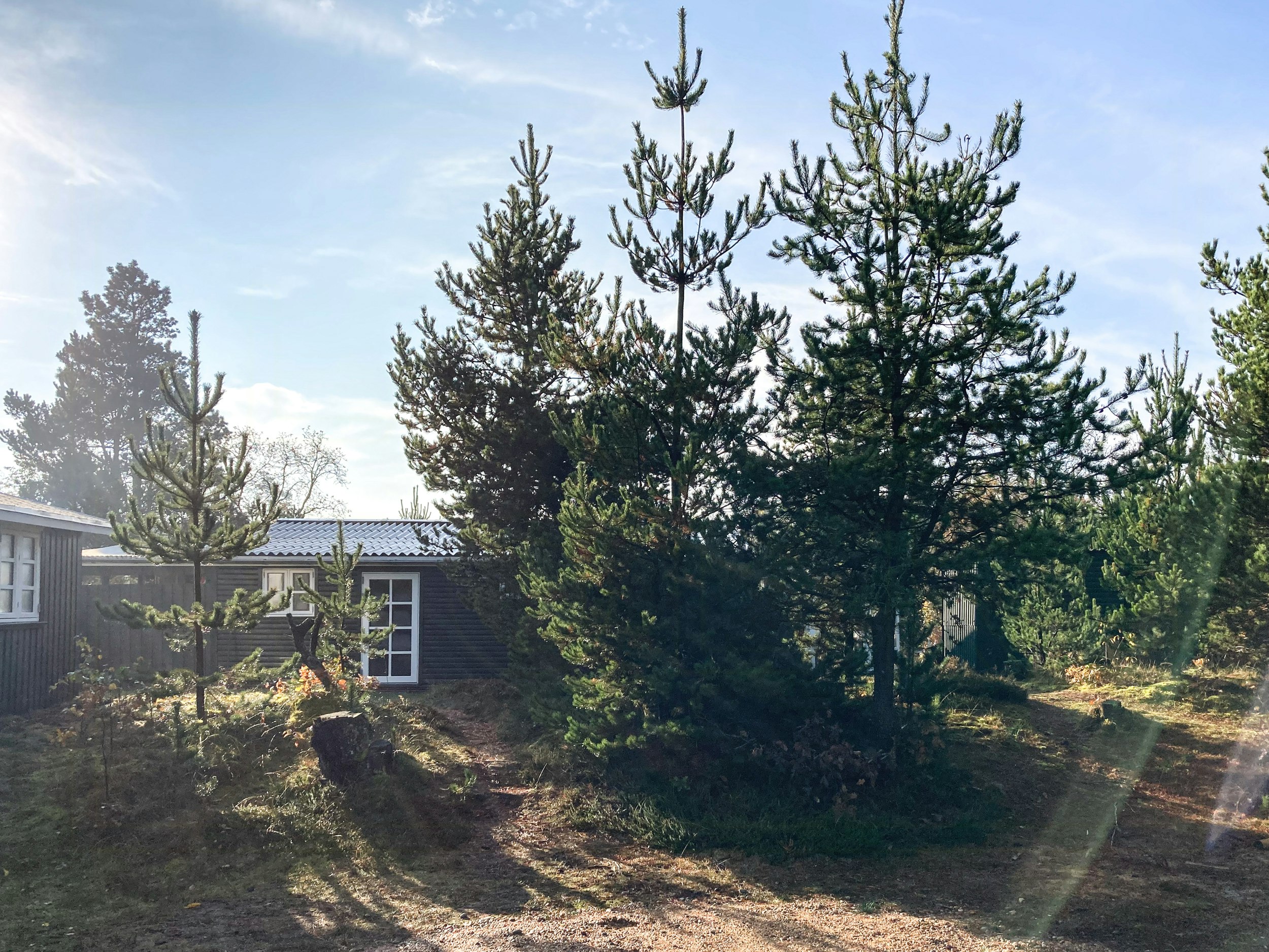 Modernized hidden gem with wilderness bath and close to the North Sea