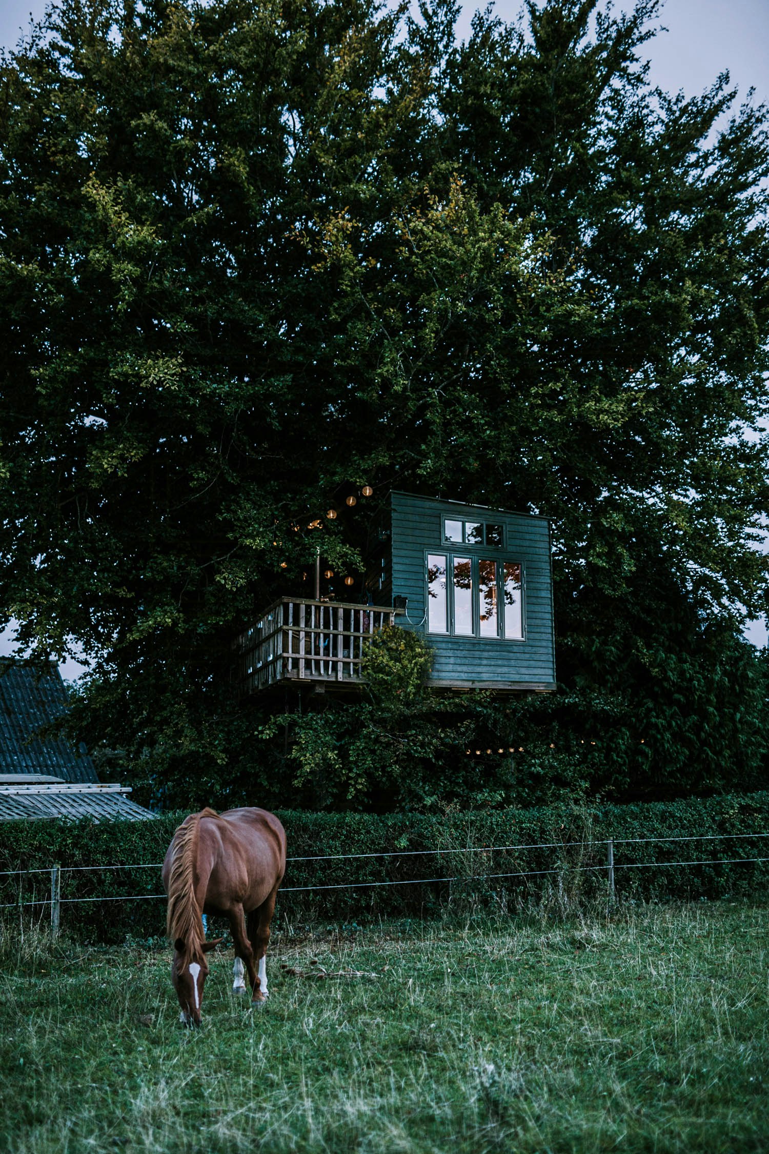 Delightful Tree House with idyllic view over the fields