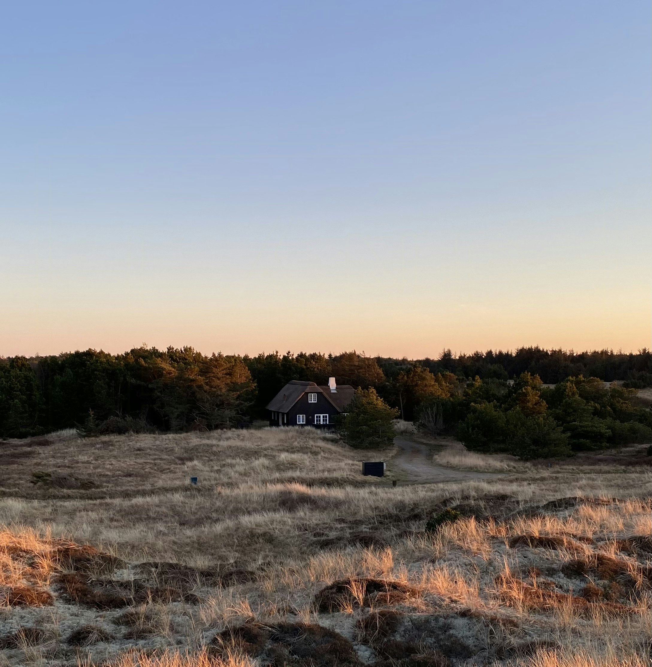 Enchanting thatched cottage in Skagen's dune landscape