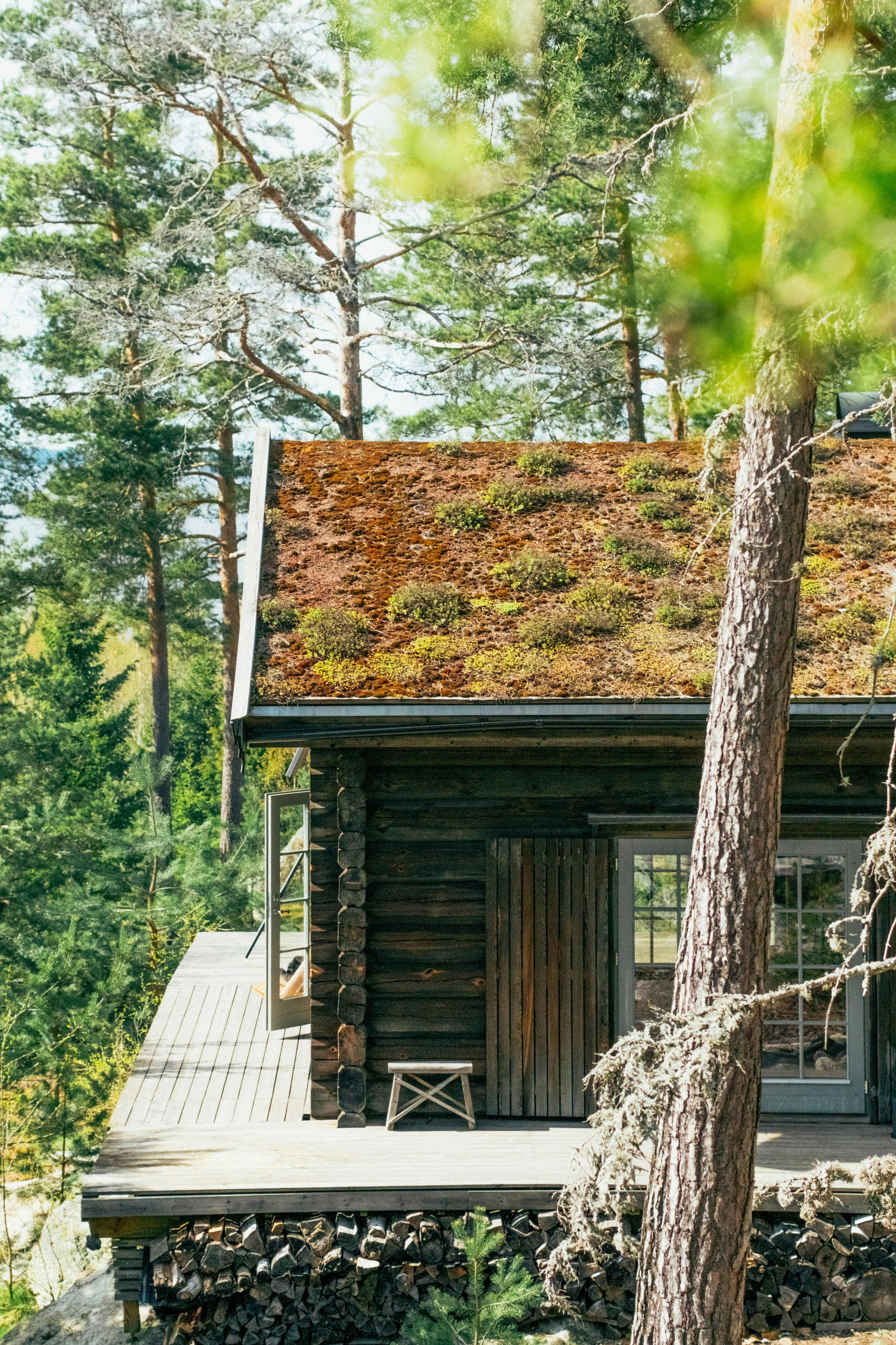 Nice and cozy cabin