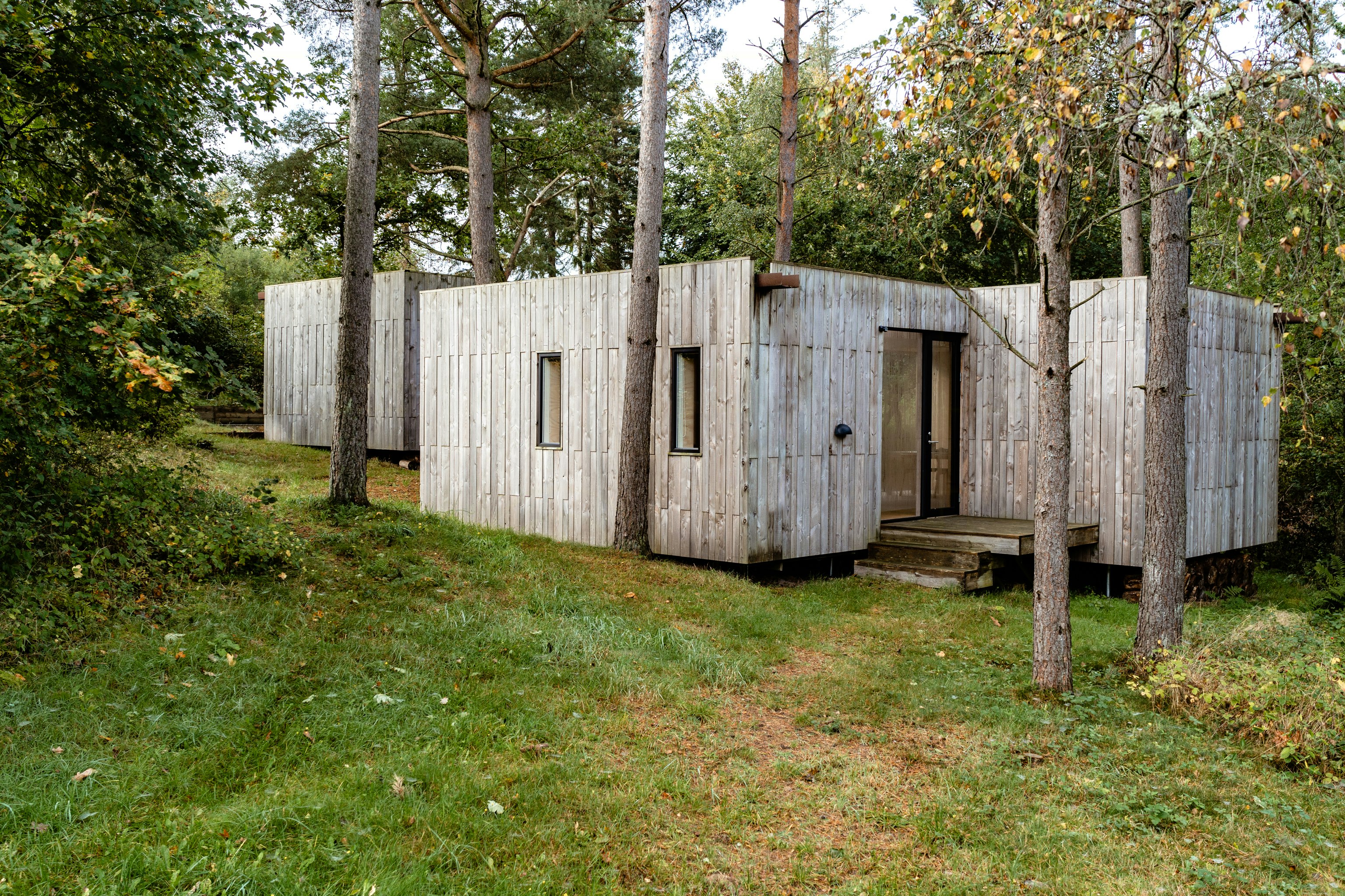 Forest idyll in the forester's lodge