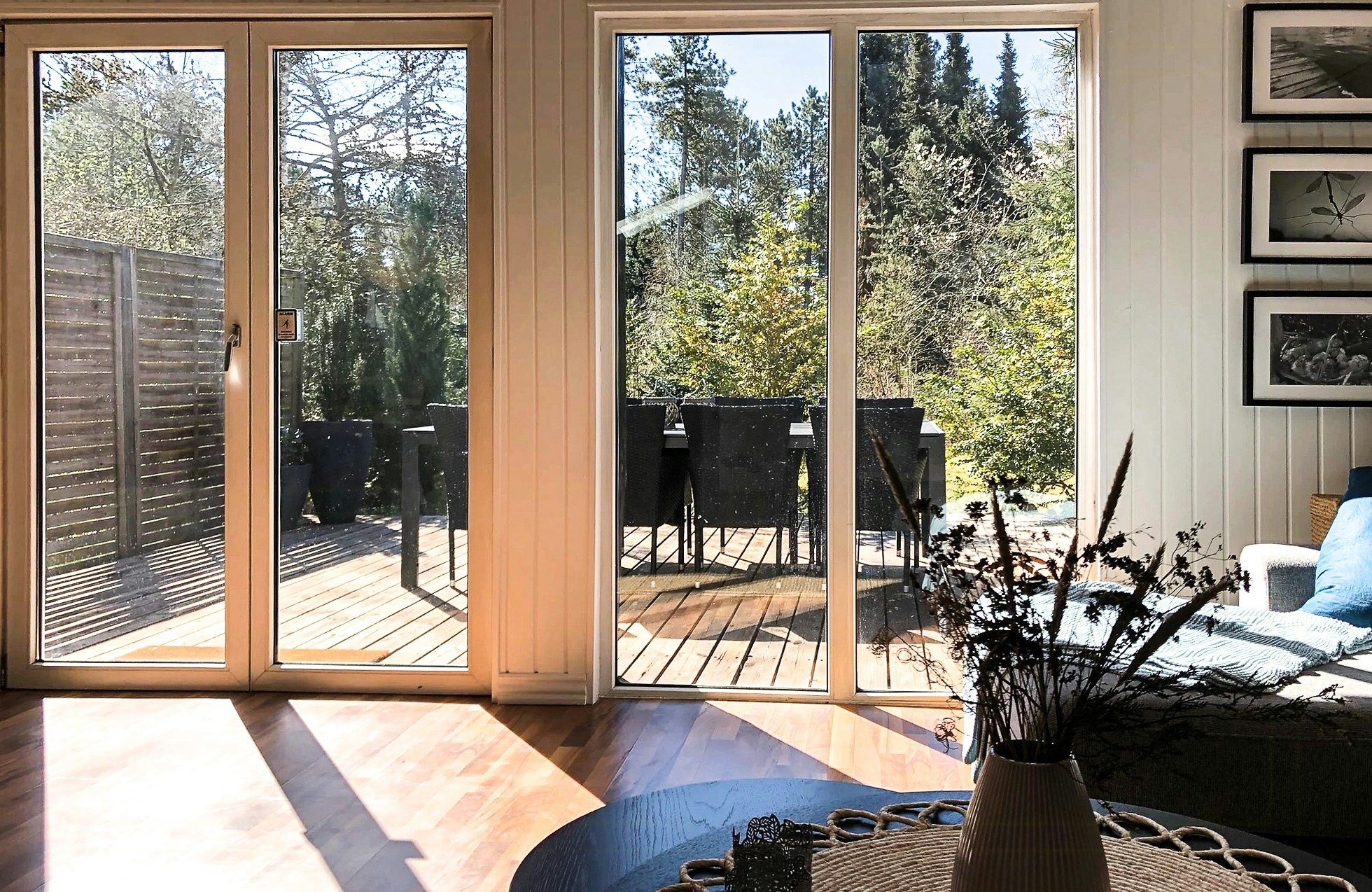 A hidden gem in the forest close to mountain bike trails