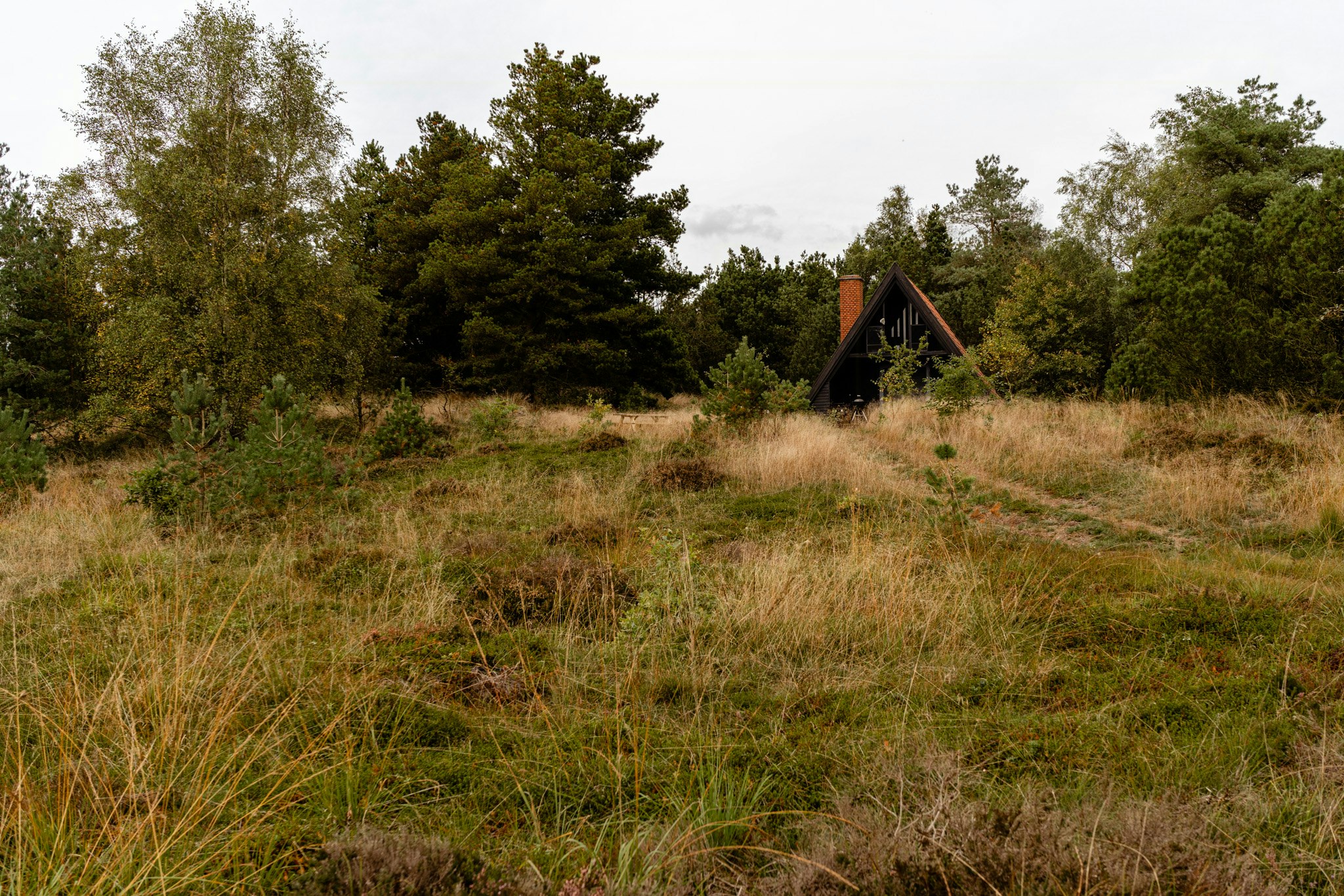 Stay in idyllic surroundings in the middle of the forest
