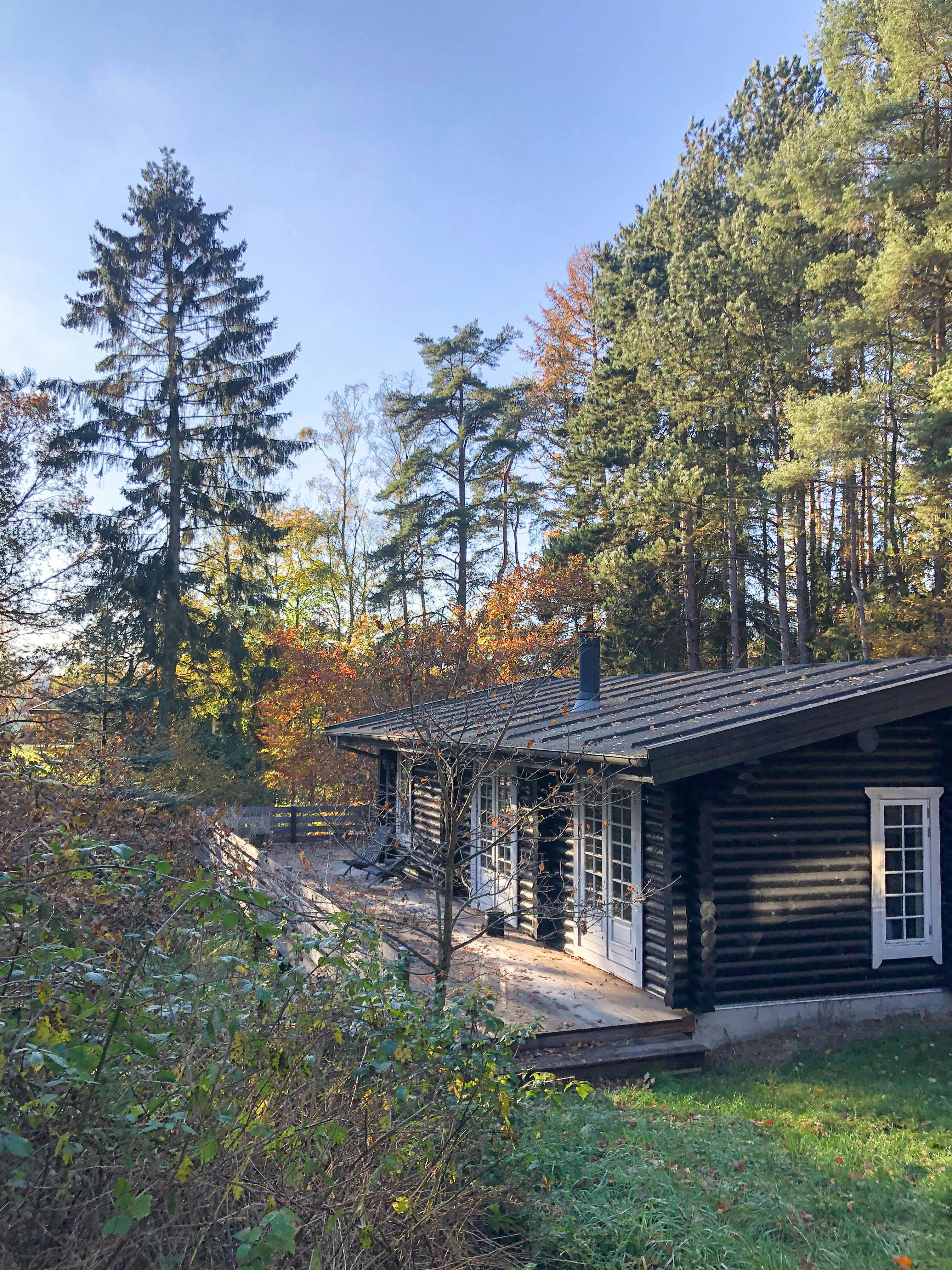 Cosy cottage with atmosphere and surrounded by trees
