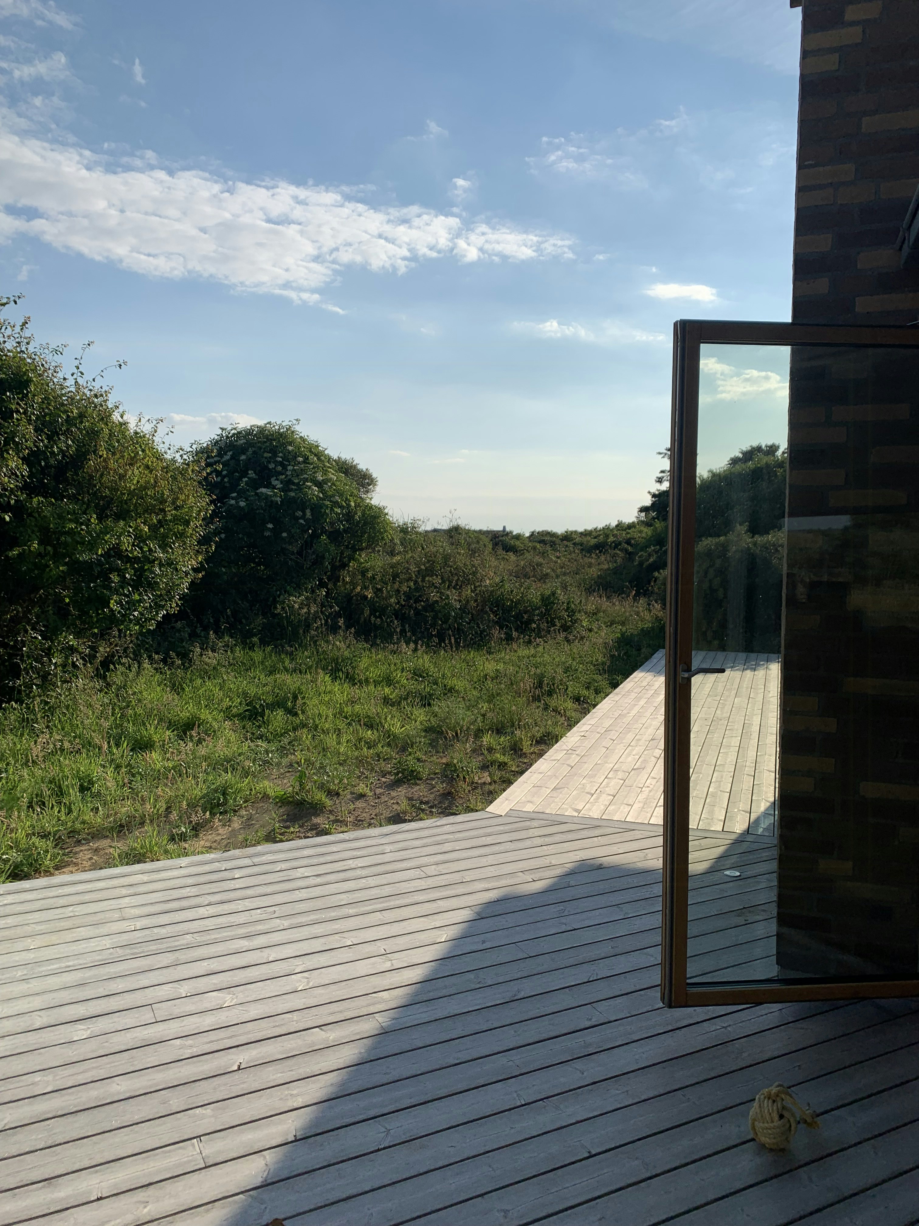 Stay in an oasis near the ocean and experience rare wildlife