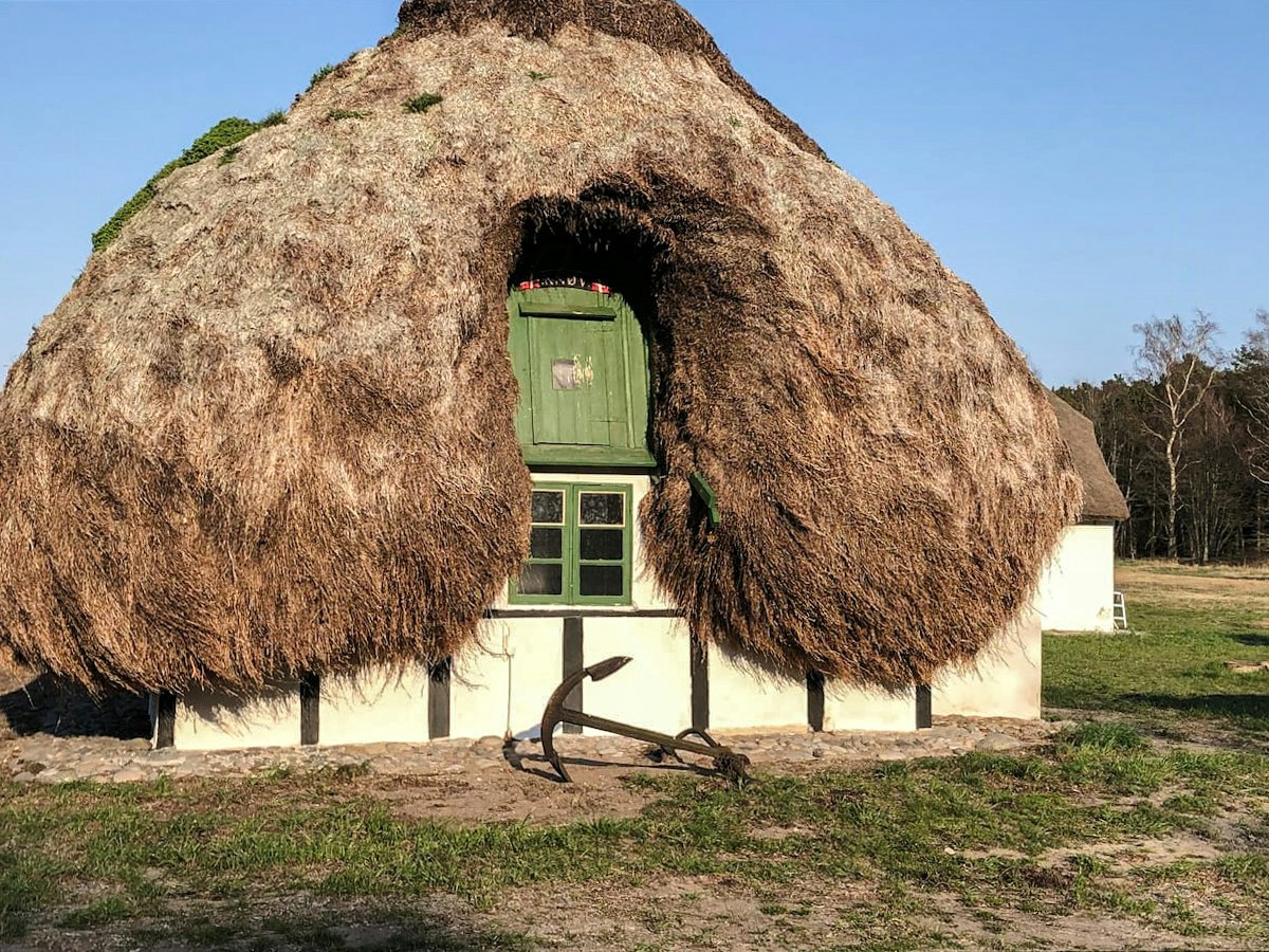Completely renovated summer house with unique seaweed roof on Læsø