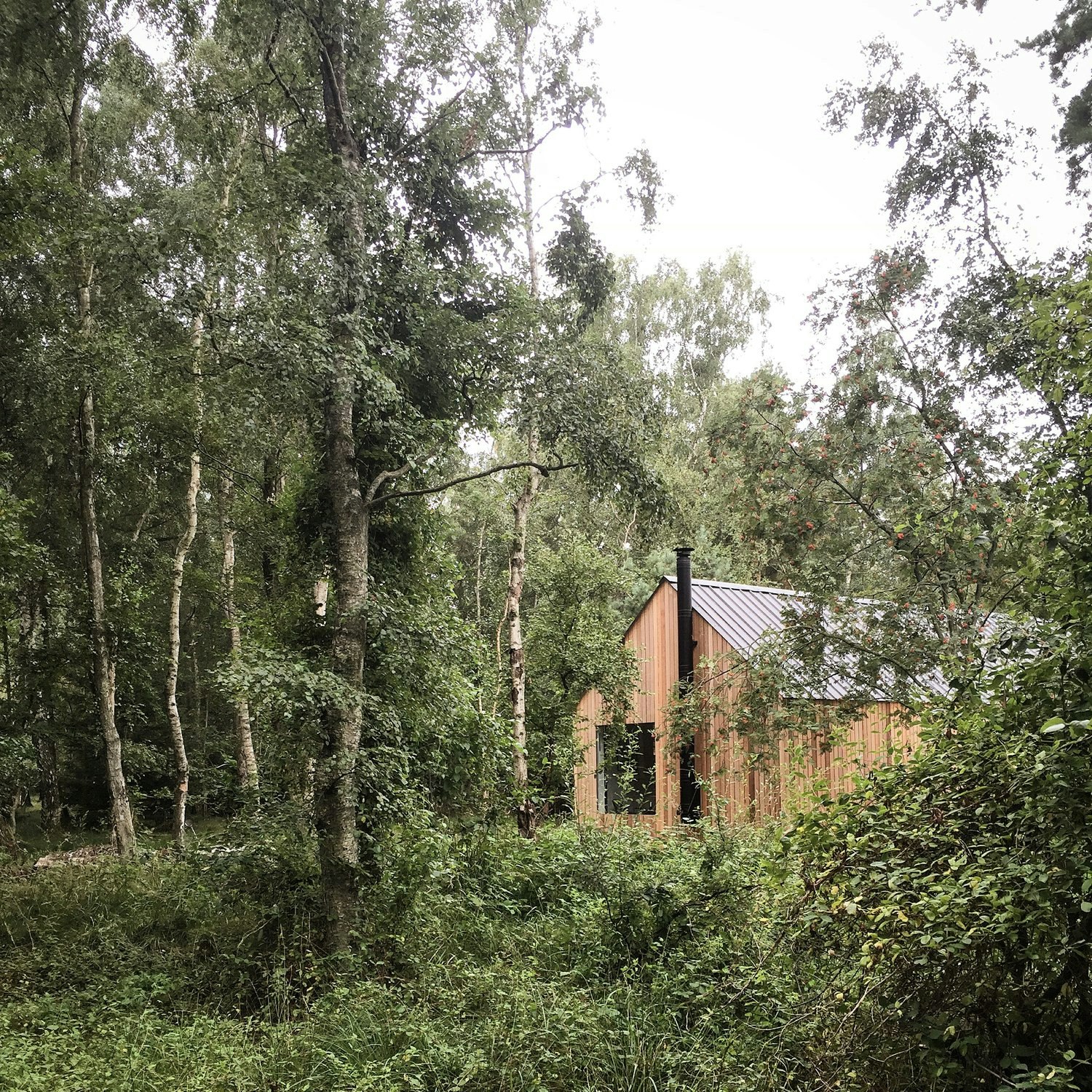 Nordic Cabin in the middle of the woods